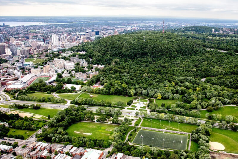 Private Tour of Montreal (SUV)
