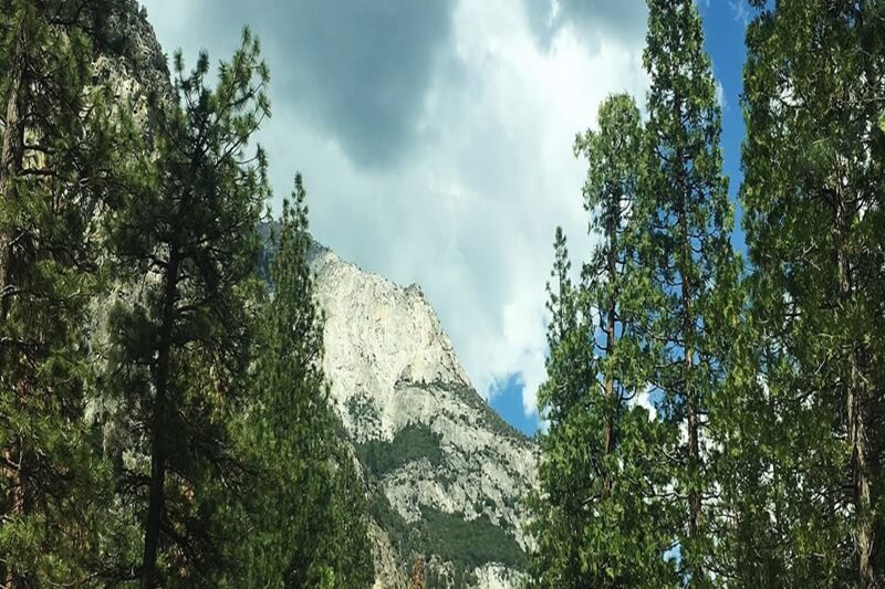 Yosemite, Sequoia, California Coast Tour: Nature's Grandeur 