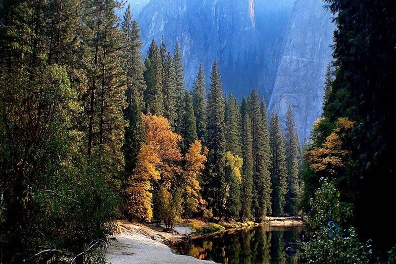 Yosemite, Sequoia, California Coast Tour: Nature's Grandeur 