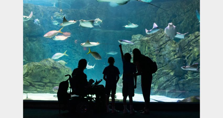 Toronto - Ripley's Aquarium of Canada