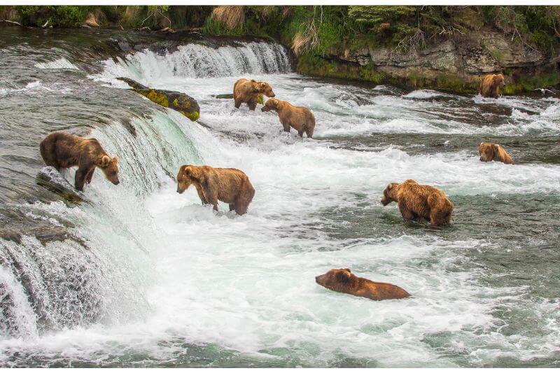 Katmai National Park