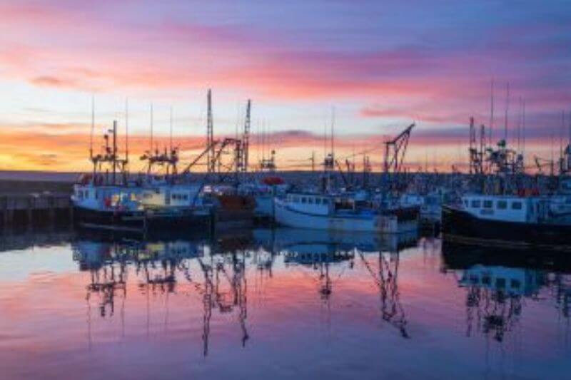 Discover Nova Scotia's Best