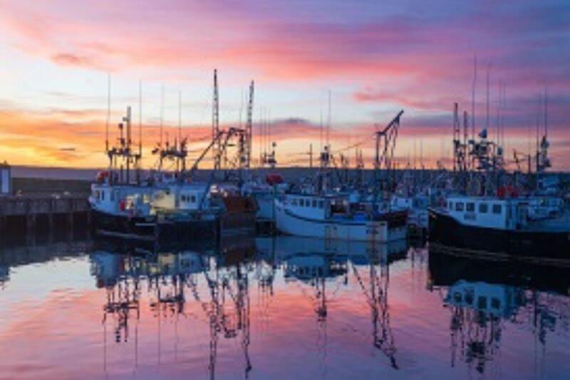 Discover Nova Scotia's Best