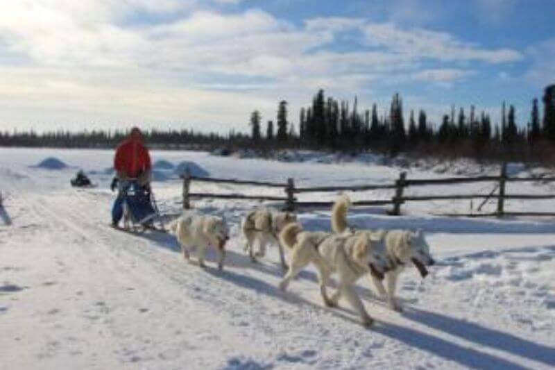 Journey Beyond the Arctic Circle: 10-Day Road Adventure