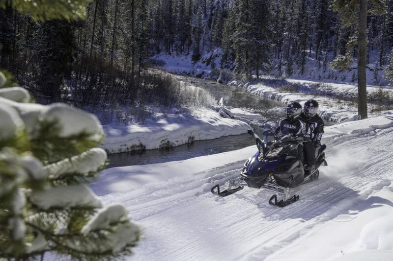 Ultimate Yukon Tour: Wildlife & Winter Thrills