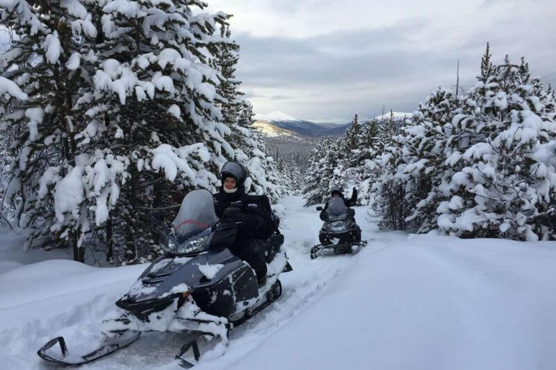 Ultimate Yukon Tour: Wildlife & Winter Thrills