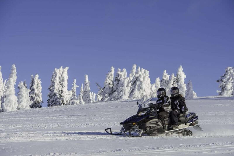 Ultimate Yukon Tour: Wildlife & Winter Thrills