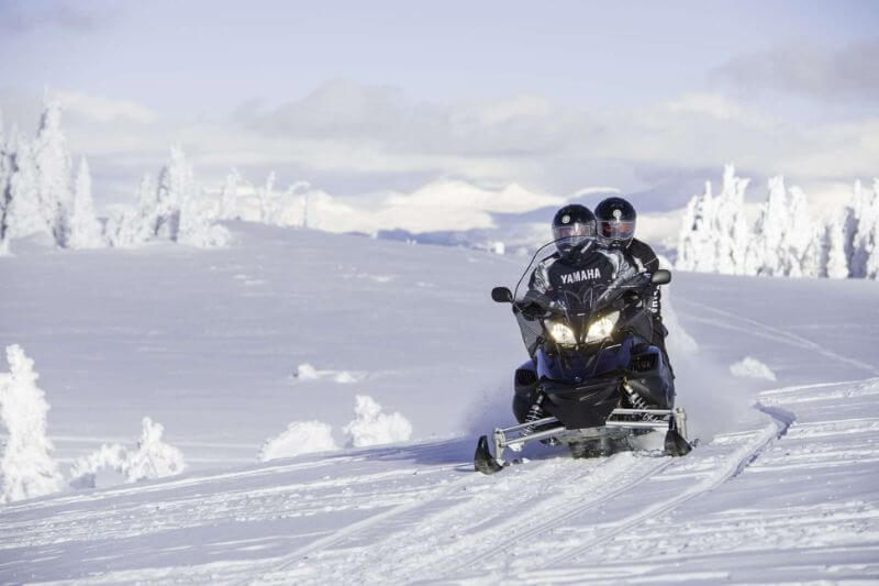 Ultimate Yukon Tour: Wildlife & Winter Thrills