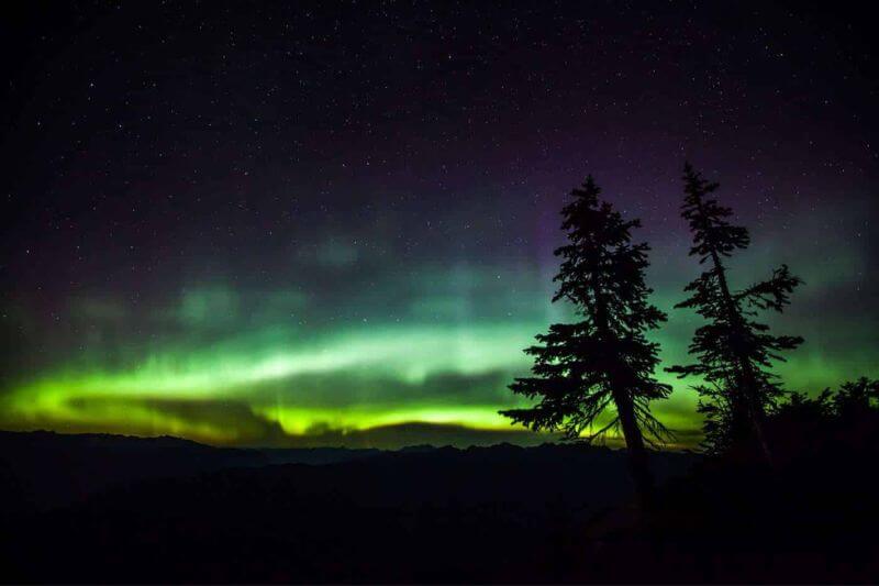 Ultimate Yukon Tour: Wildlife & Winter Thrills