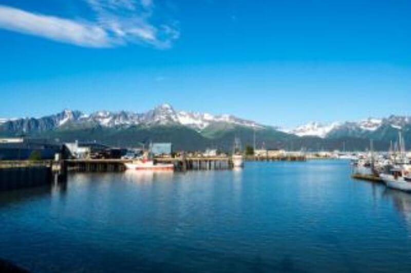 Explore Alaska: Fjords, Peaks, and Wildlife