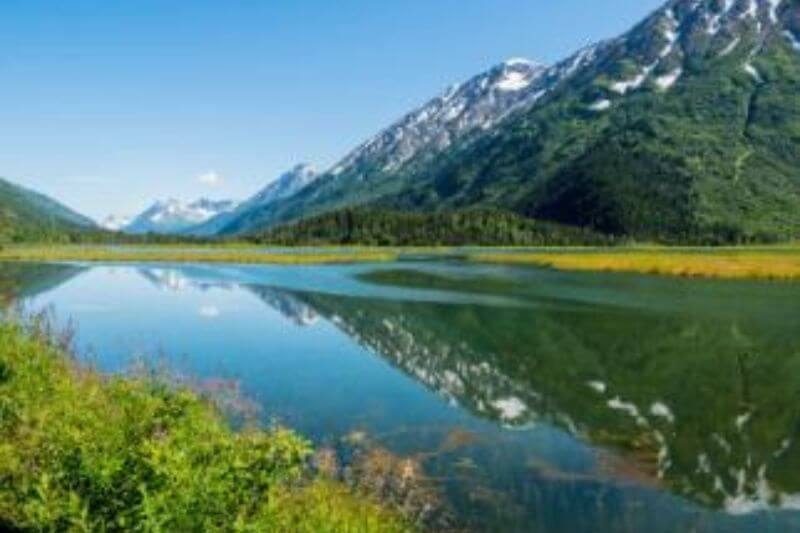 Explore Alaska: Fjords, Peaks, and Wildlife