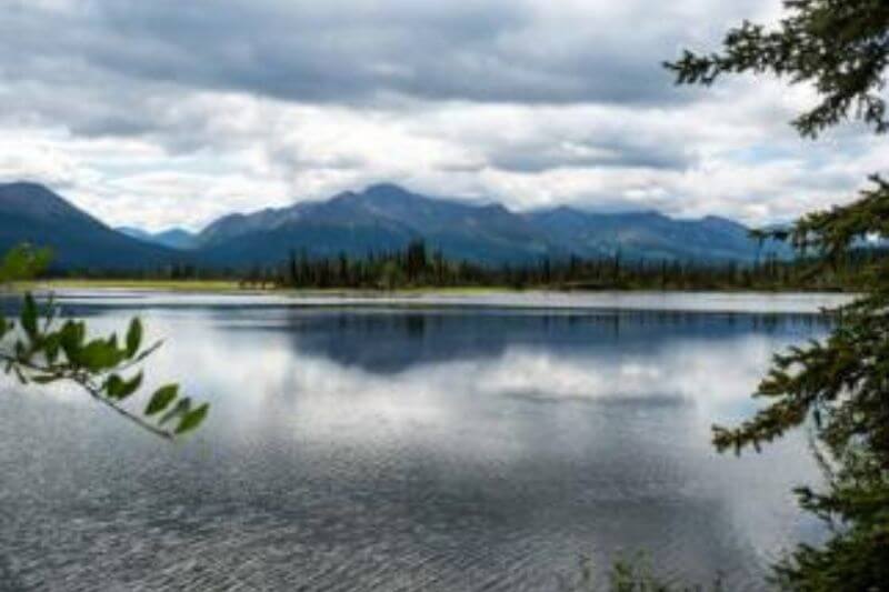 Explore Alaska: Fjords, Peaks, and Wildlife