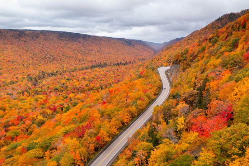 Cabot Trail & South Shore Escape