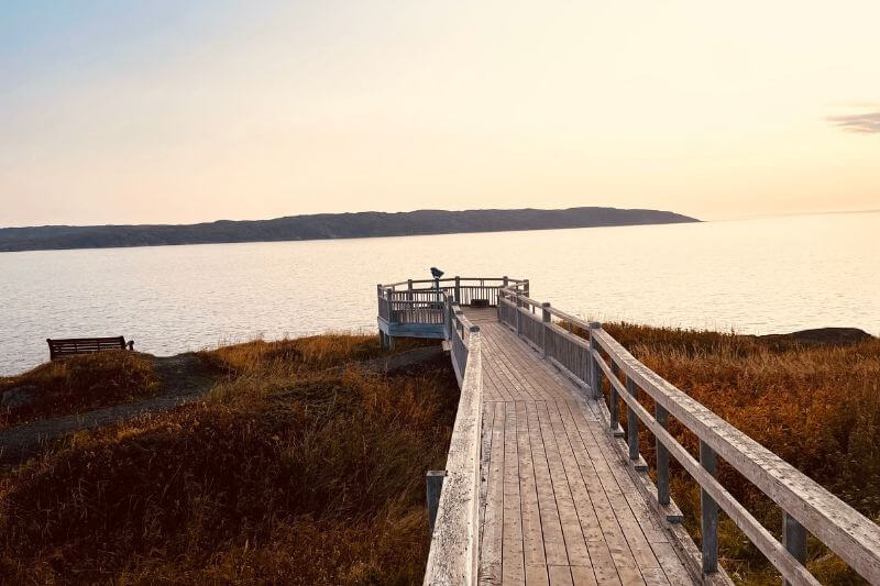 Newfoundland’s Best Self-Drive