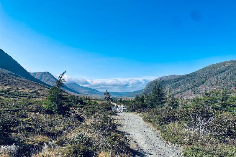 Newfoundland’s Best Self-Drive