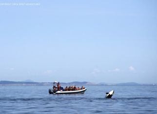 Iconic Canadian Rockies & Coastline Tour
