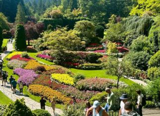 Iconic Canadian Rockies & Coastline Tour