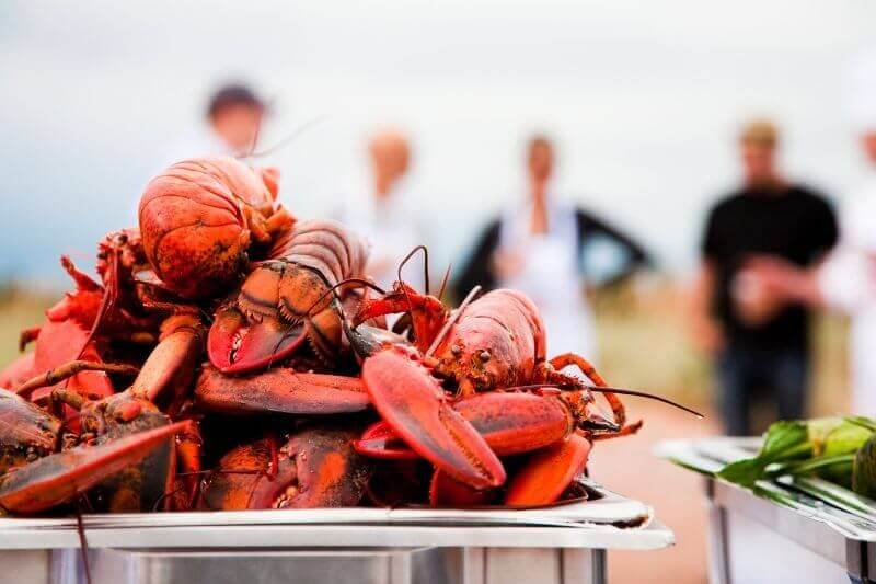 PEI Scenic Treasure Adventure