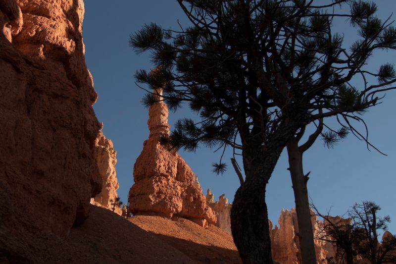 Epic Canyon Drive: Zion to Grand Canyon Magic