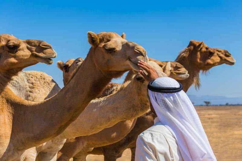 Discover Arabia: Women-Only Adventure